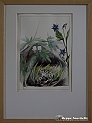VBS_1750 - Castello di Miradolo - Mostra Oltre il giardino l'Abbecedario di paolo Pejrone